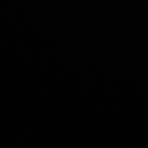 Meet your Posher, Mia